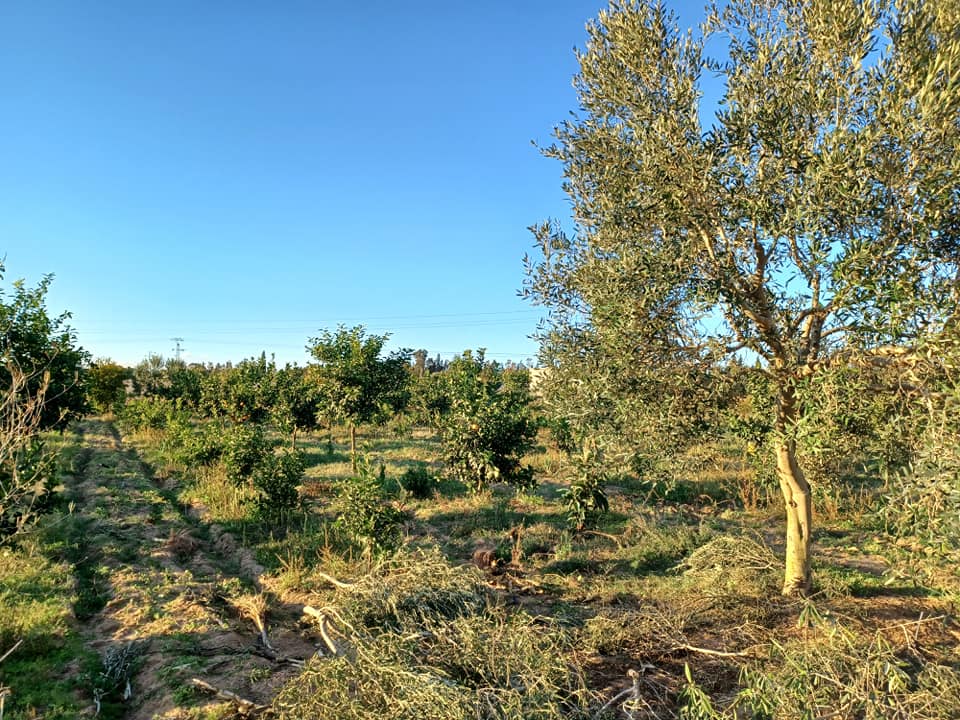 Mornag El Gounna Terrain Terrain agricole Morneg el gounna vnt ter agri 14000 m2
